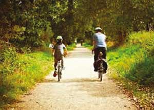 Cheshire Cycleway | Things to see and do | Goose Green Farm
