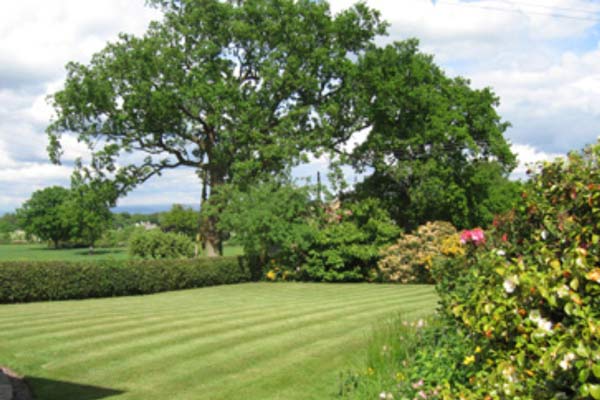 garden view at Goose Green Farm