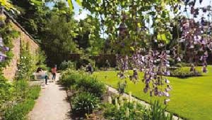 National Trust Hare Hill Gardens | Things to see and do | Goose Green Farm