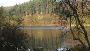 Macclesfield Forest