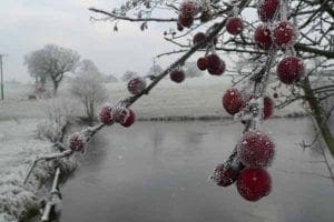 Winter scene at Goose Green Farm Bed & Breakfast