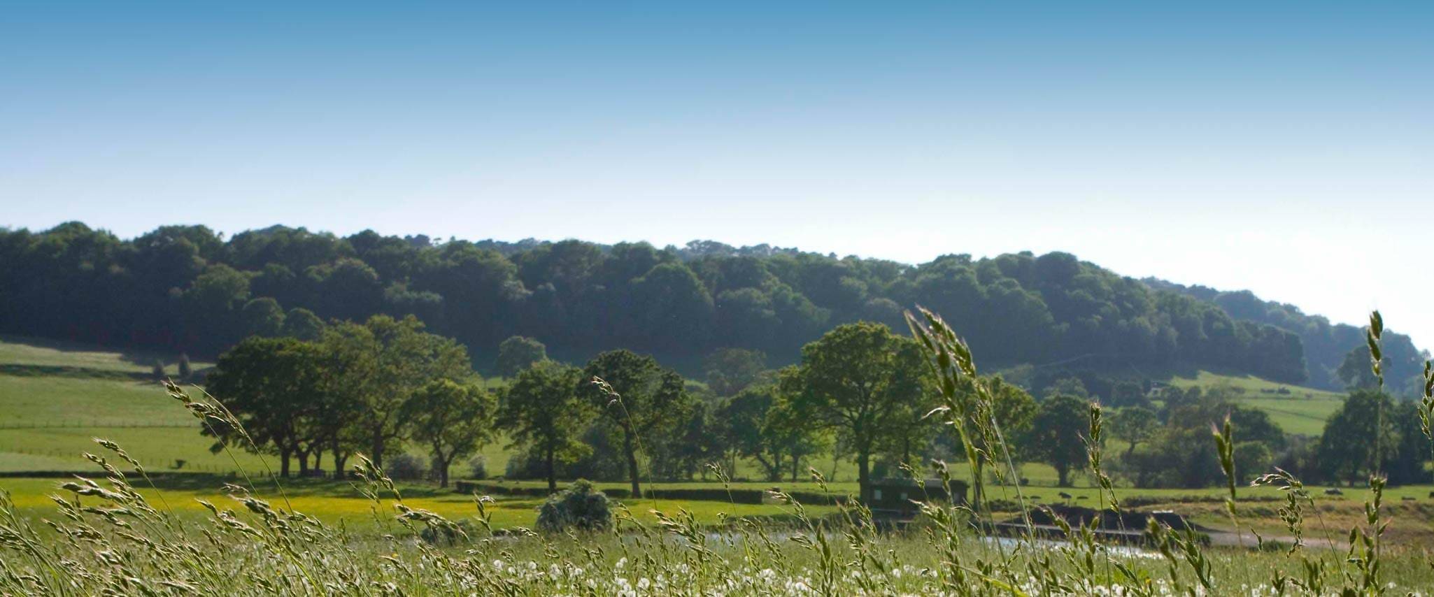 Goose Green Farm Bed & Breakfast, Book Online